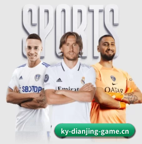 开云电竞 APP 界面
